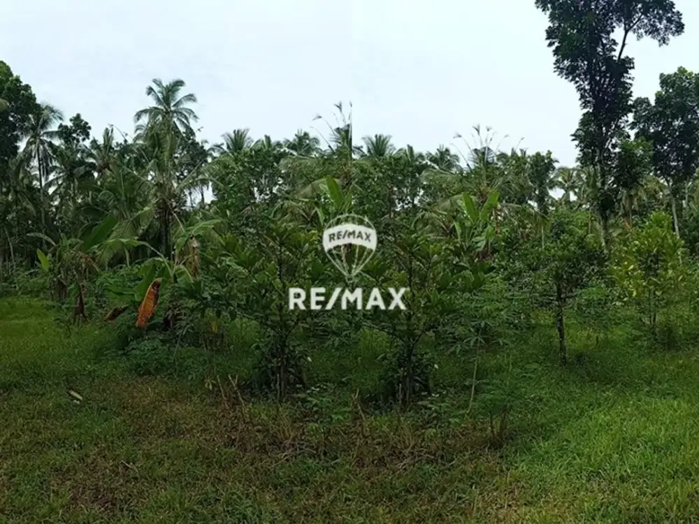 DIJUAL CEPAT TANAH STRATEGIS GOMBENGSARI – KALIPURO, BANYUWANGI