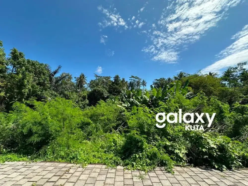 DIJUAL TANAH HOOK JUNGLE VIEW DEKAT KANTO LAMPO DI BENG GIANYAR