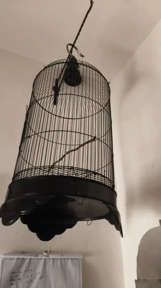 Kandang love bird baru pakai seminggu karpet cepuk tangkringan lngkp