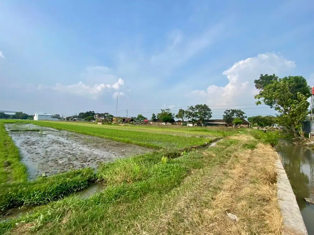 Tanah Sawah Lokasi strategis di BAKI  - Zona Kuning