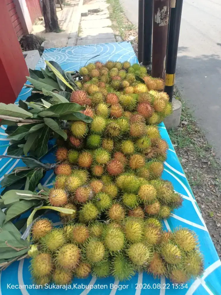 Rambutan Manis Rapiah