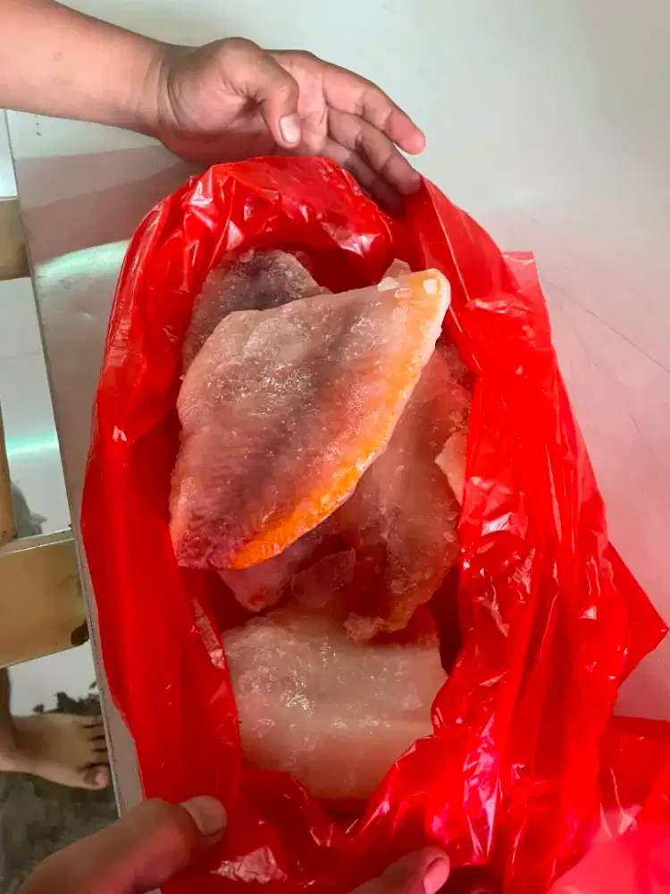 Ikan nila fillet