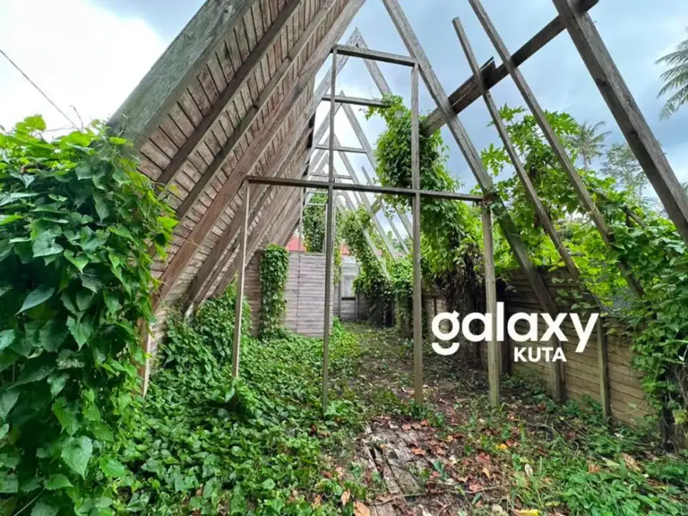 DIJUAL TANAH JUNGLE VIEW DEKAT RS SANJIWANI DI BITERA GIANYAR