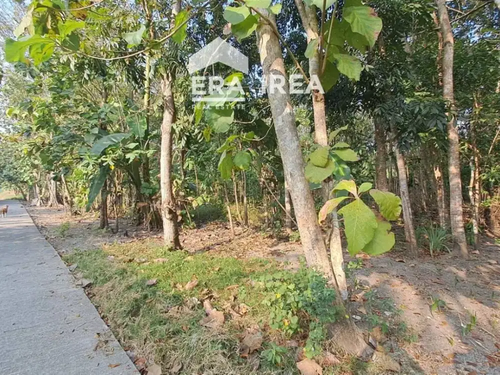 TANAH DIJUAL DI JOGJA DEKAT KAMPUS UMY