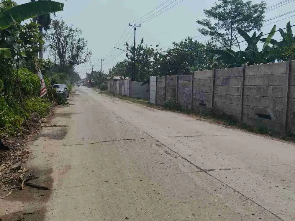 Dijual Tanah luas 1.6 Ha  desa dangdang Cisauk, Banten