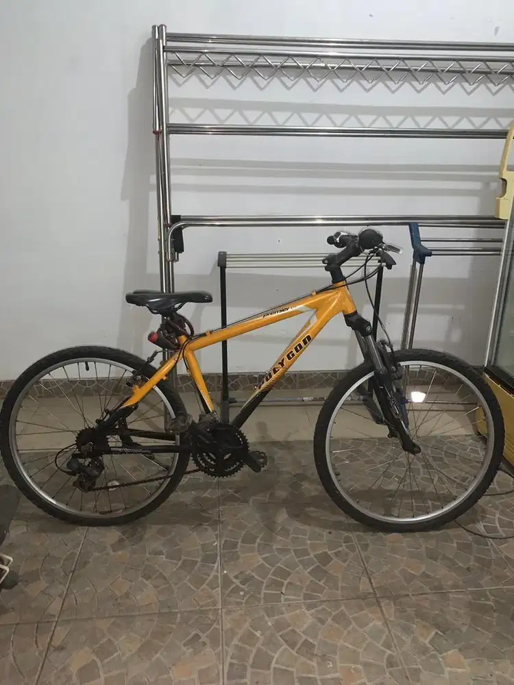 Sepeda gunung Polygon Premier 1.0