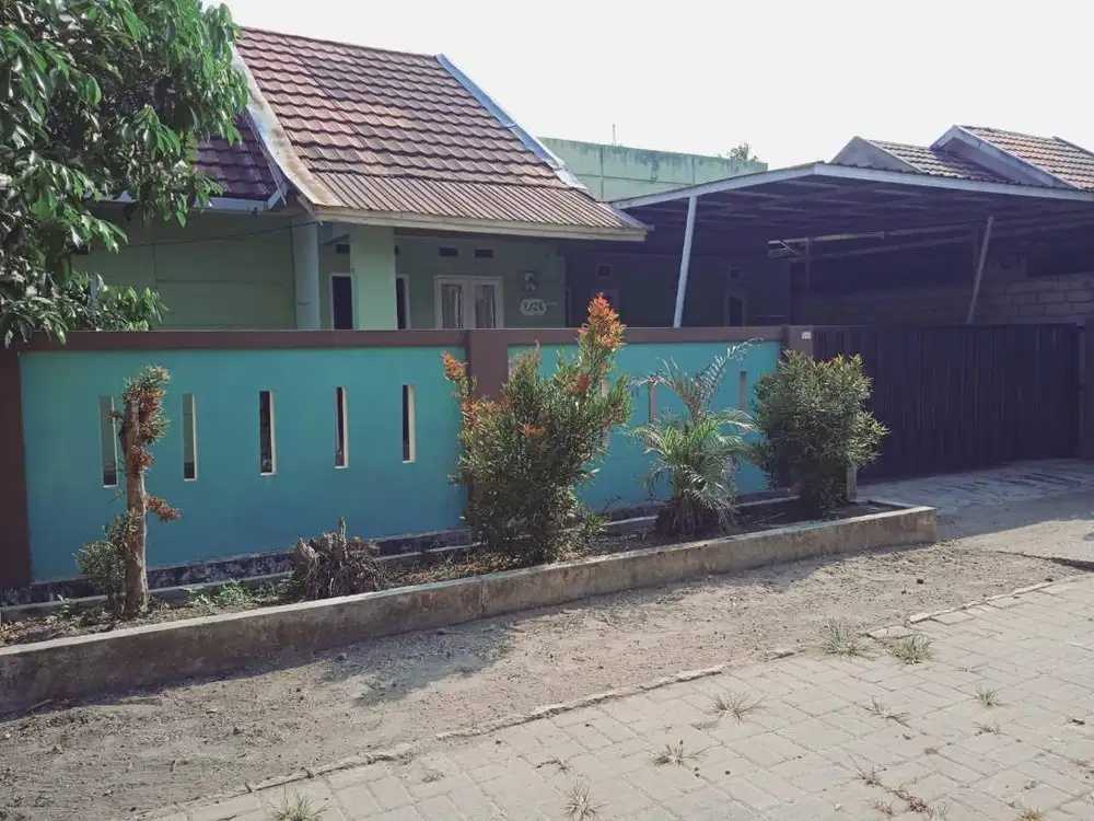 Dikontrakan Rumah