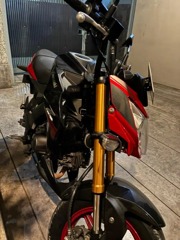 Kawasaki Z125 Special Edition