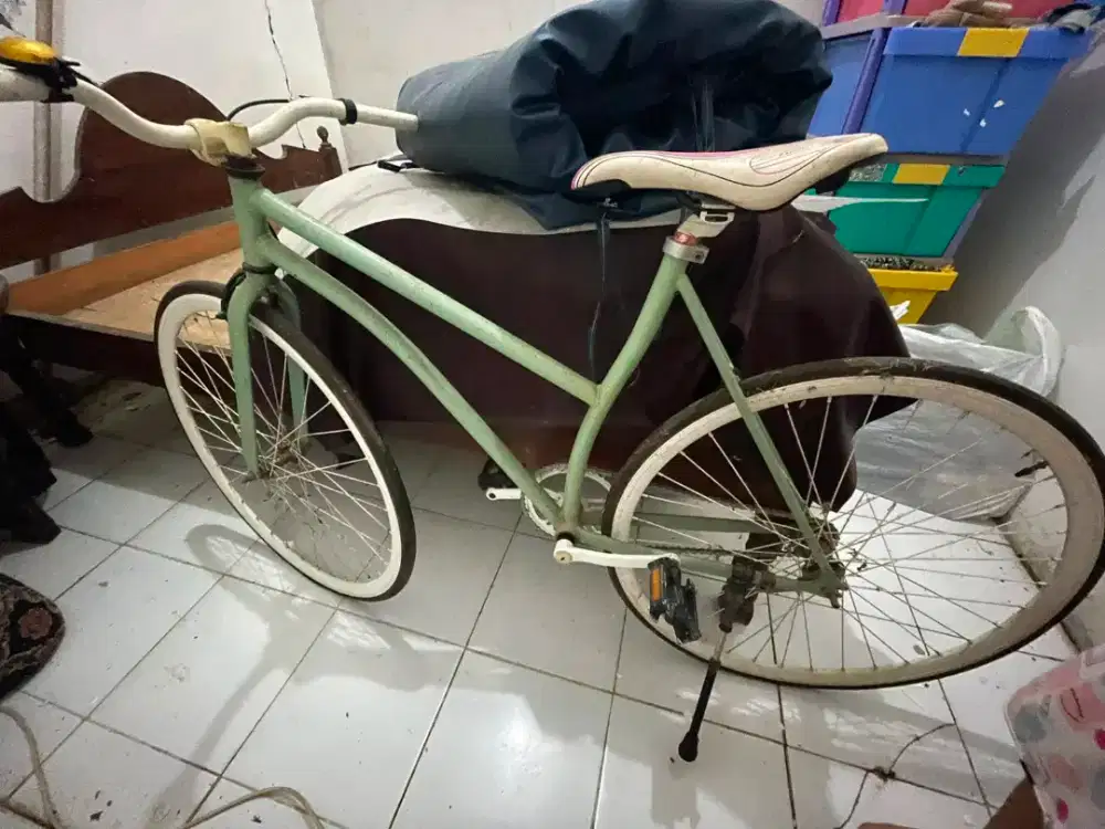 Sepeda fixie cewek jarang dipakai
