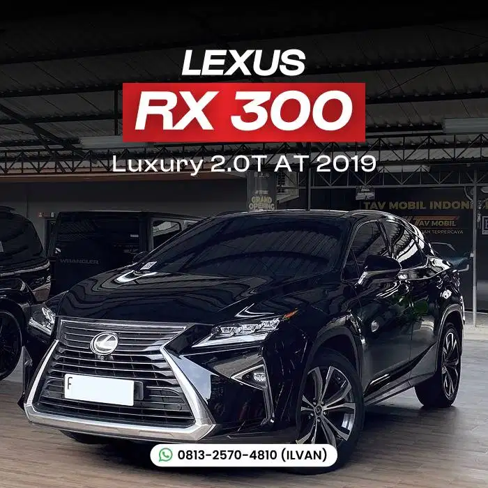 Lexus RX 300 Luxury 2.0T 2019 AT MATIC