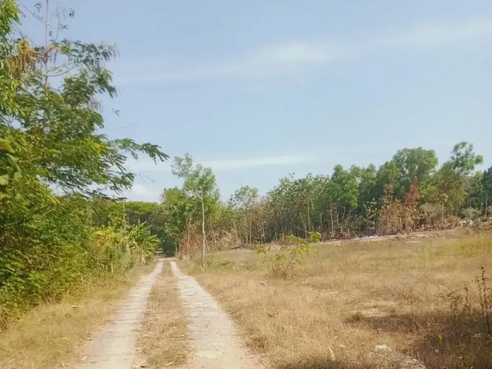 Tanah Murah 3200m² Hanya  375 Juta Sragen