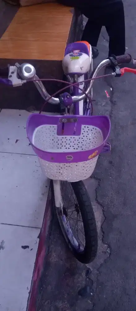Sepeda anak perempuan