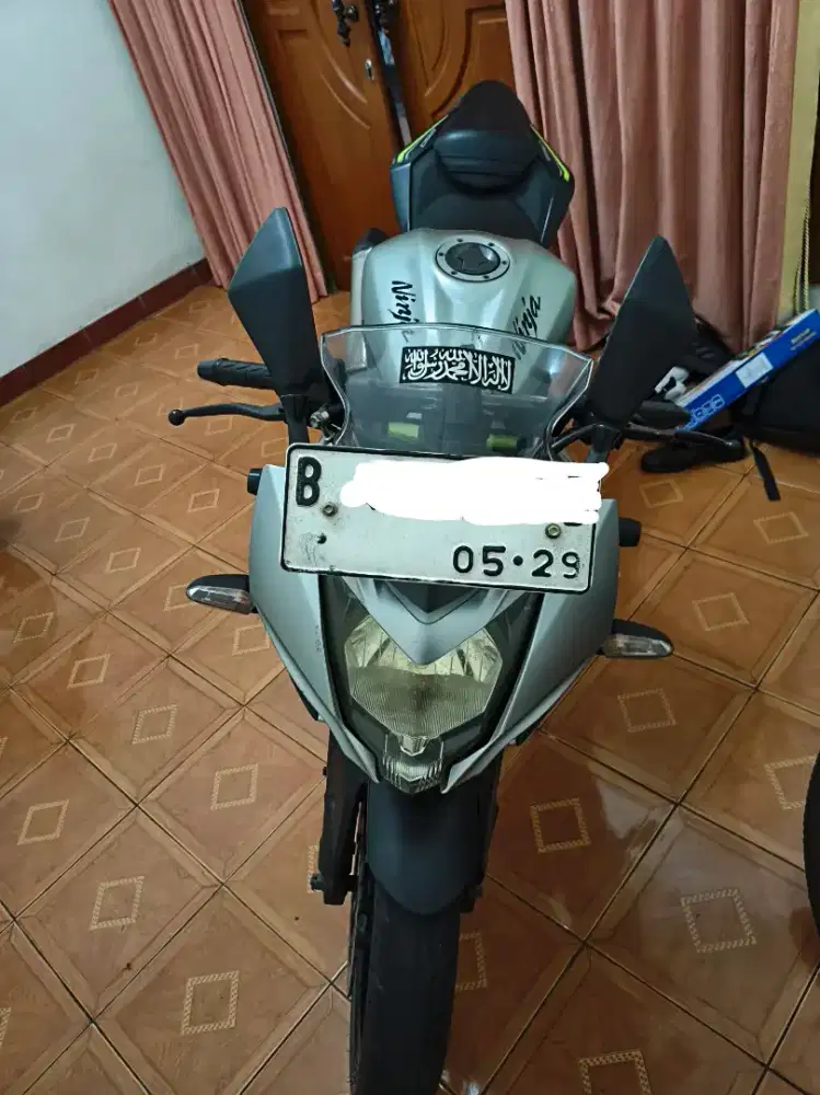 Ninja Mono 250 SL