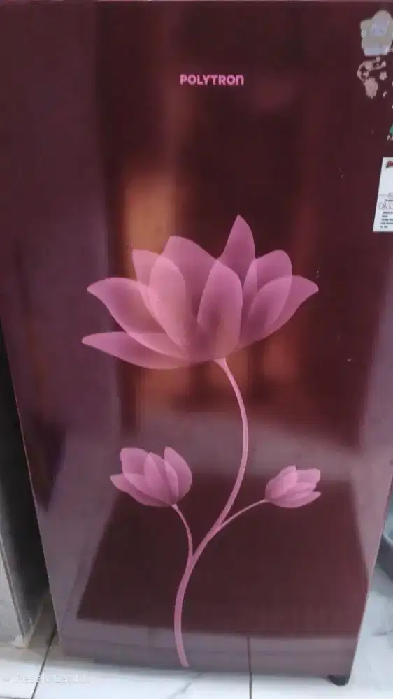 Kulkas Merk Polytron 1 pintu