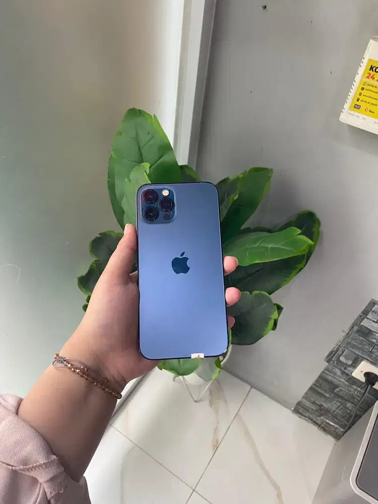 iPhone 12 pro 256gb beacukai pasific blue
