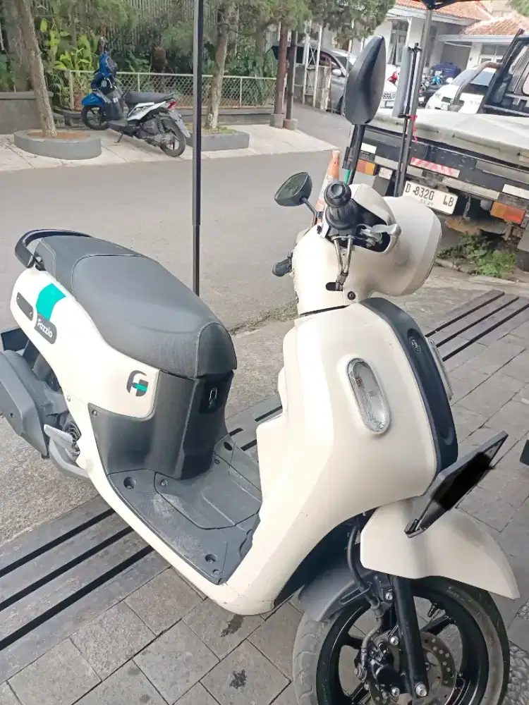 Fazzio 2022 Putih