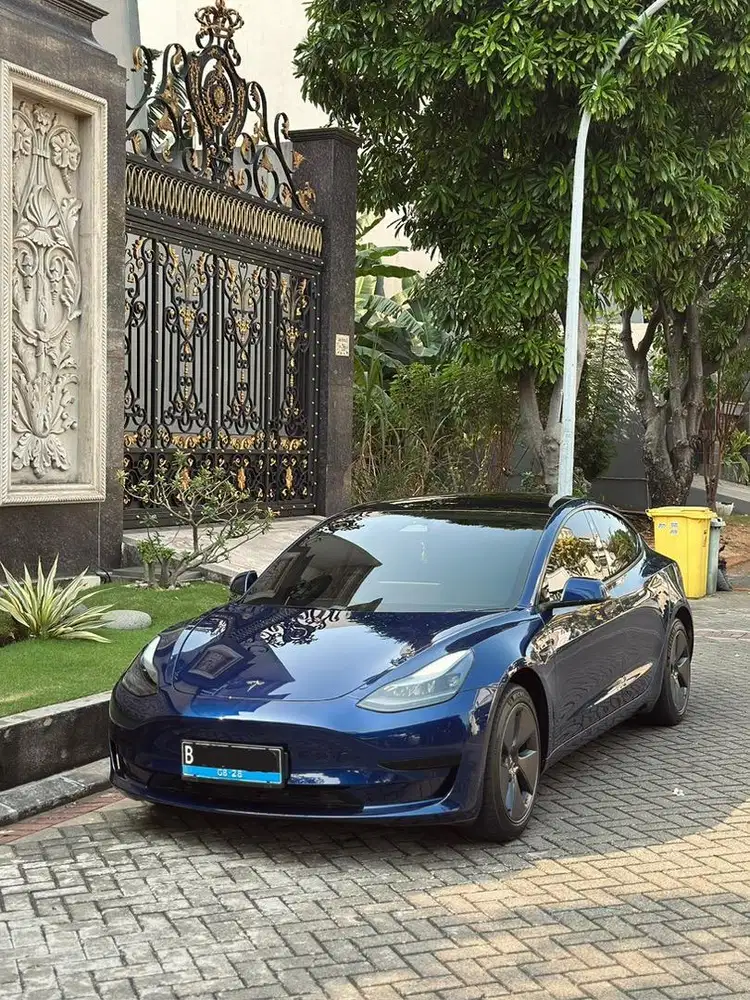 Tesla 3 Standard Range Plus Frost Blue Nik 2023 mobil ev not byd seal