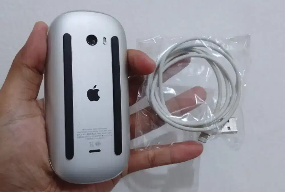 Mouse Apple gen 2