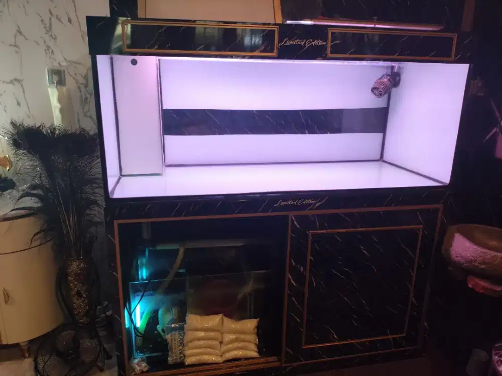 Akuarium fullset mewah murah pakai sampai akhir jaman