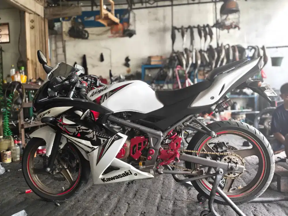 Ninja New RR Albino Original 2013