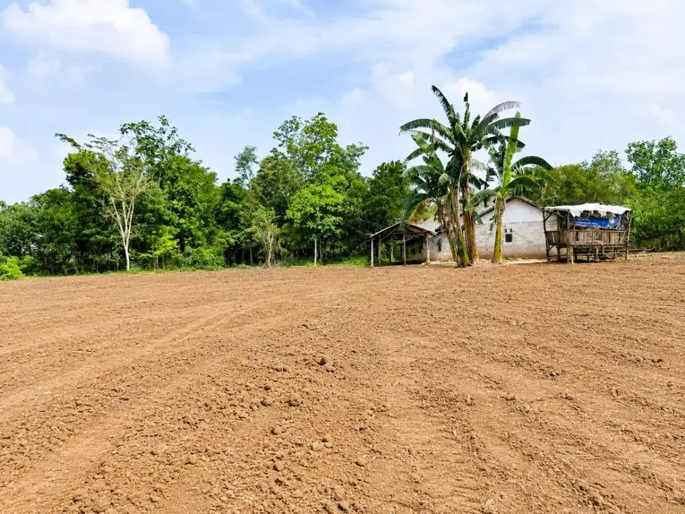 Dijual Kaving Cisauk Di Kawasan Berkembang Dekat Stasiun Jatake BSD