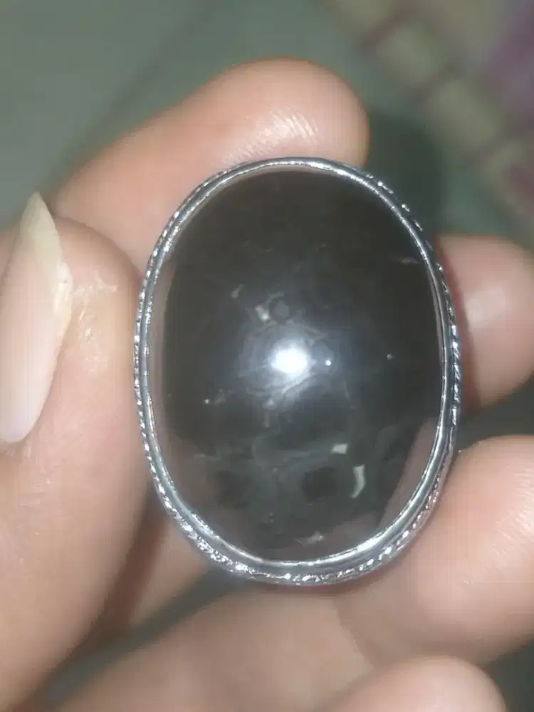 Di jual bacan kura hitam