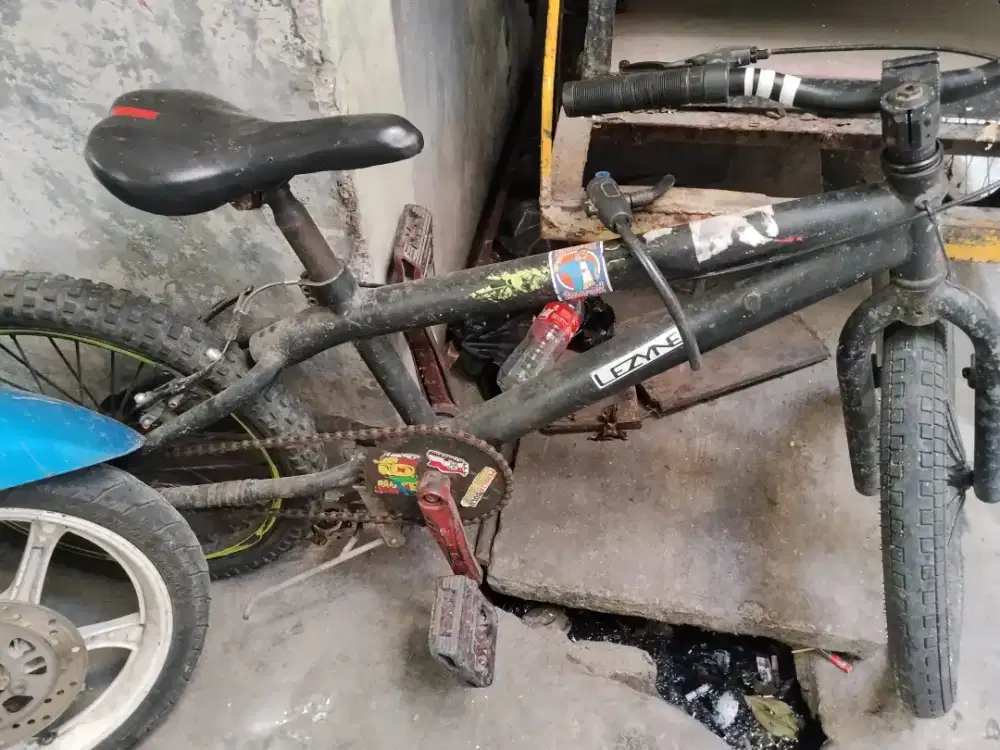 Jual cepat sepeda anak roda 2
