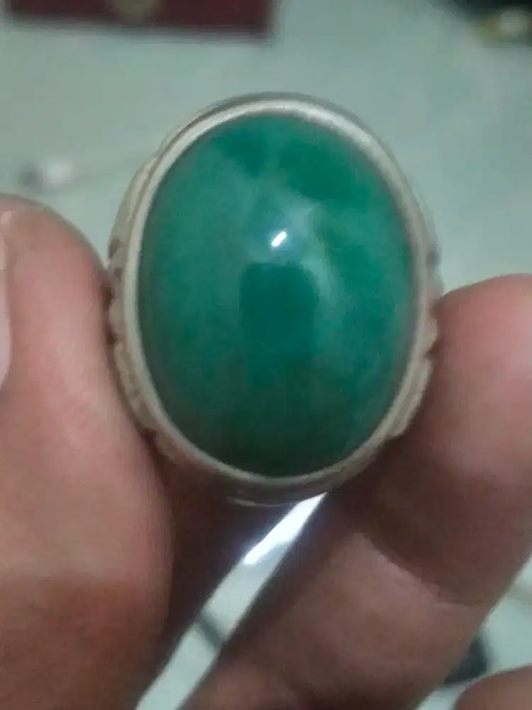 Di jual garut hijau cikolak