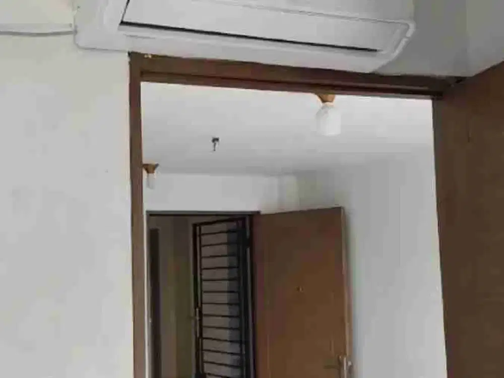 disewa apartemen palm mansion