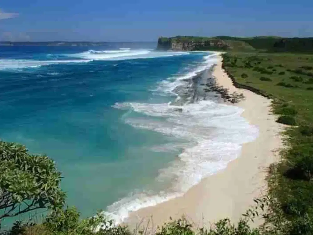 Dijual Tanah Tepi Pantai Kura-Kura Lombok Timur