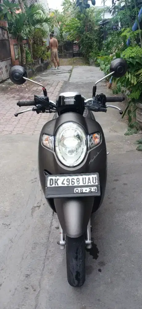 Honda Scoppy 2019