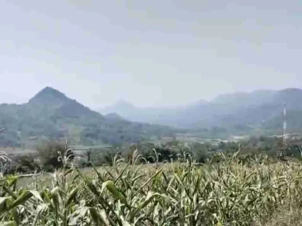 Jual lokasi murah Buat investasi / ternak di kubang cianjur Kota bunga puncak