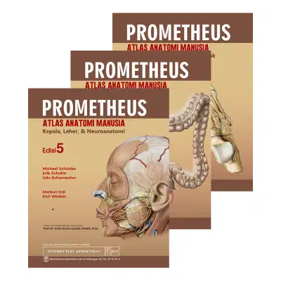 Prometheus Atlas Anatomi Edisi 5
