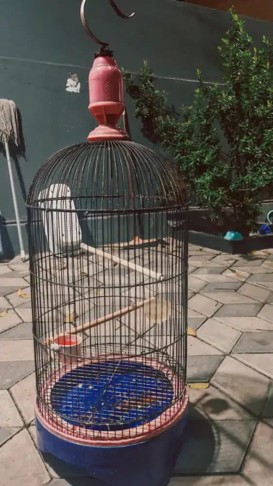 Kandang Lovebird Merk EBOD