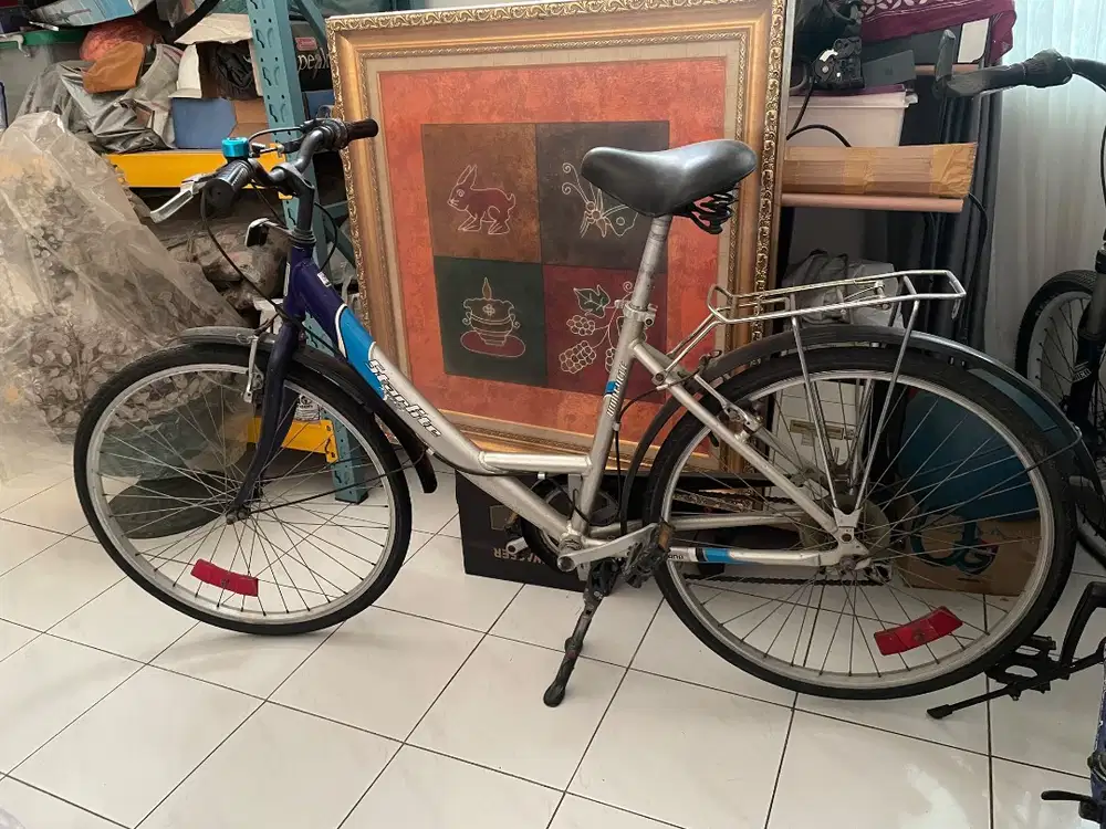 Wim Cycle Starlite Alumunium 26”
