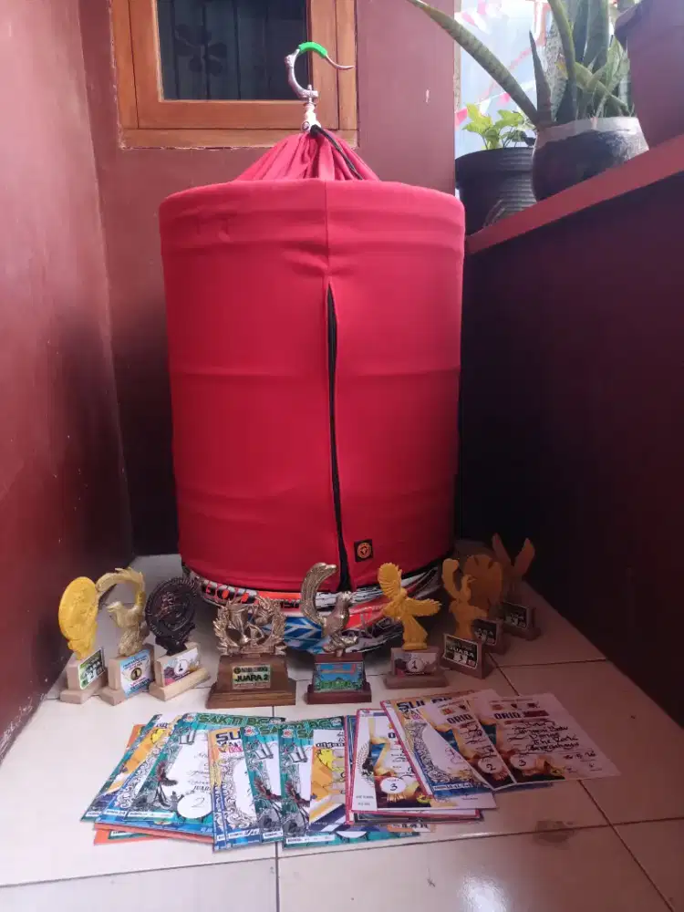 Murai medan prestasi