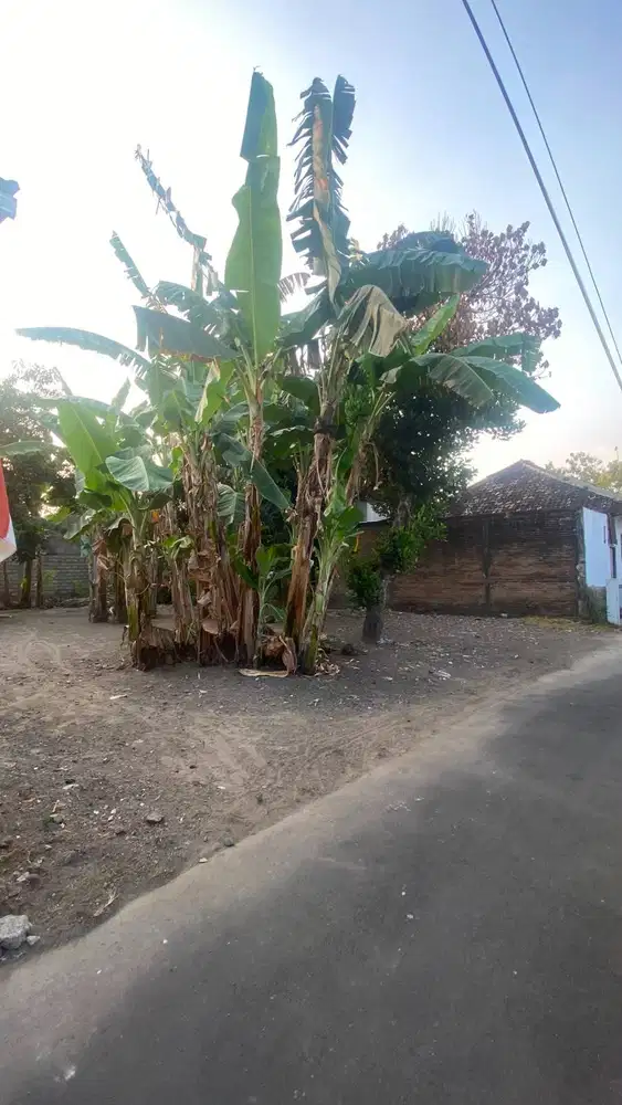 Jual Tanah Luas 271m² status SHM