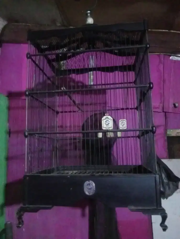 Kandang burung merk Ebod