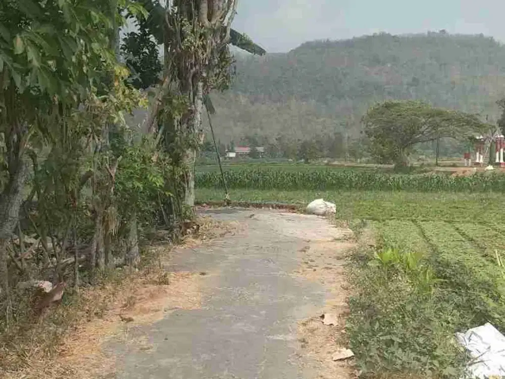 DIJUAL TANAH KAVLING VIEW ISTIMEWA  PRAMBANAN SENGON