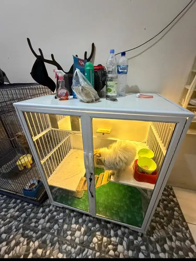 kandang kucing kaca