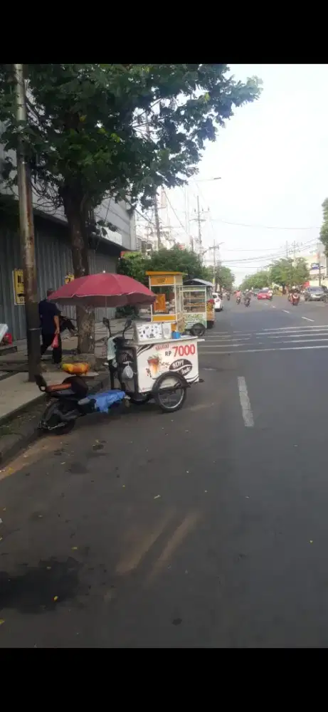 Gerobak Sepeda Listrik