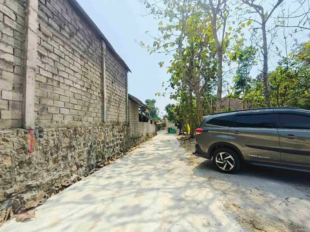 Tanah pekarangan karangpelem kedawung sragen setengah harga pasar