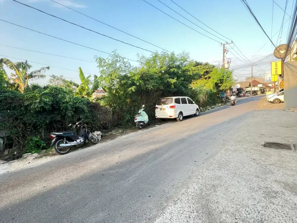 Tanah tukad petanu panjer