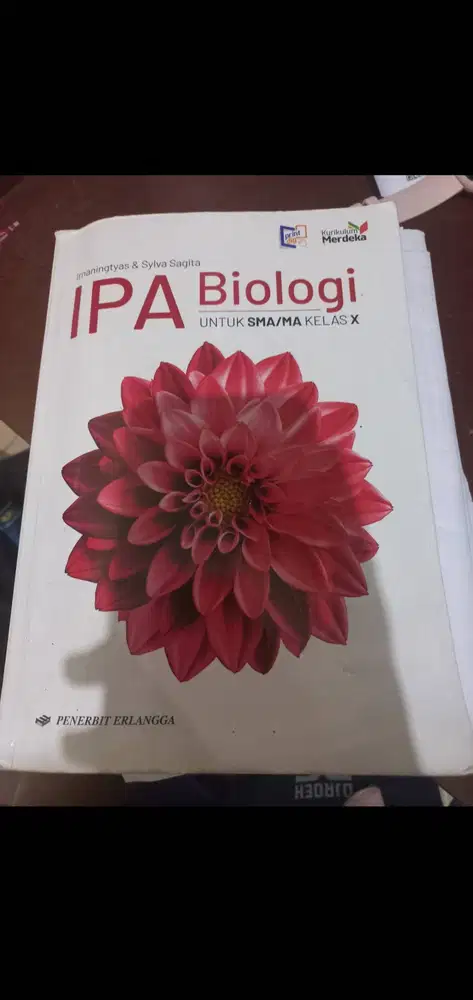 buku kurikulum merdeka kelas 10
