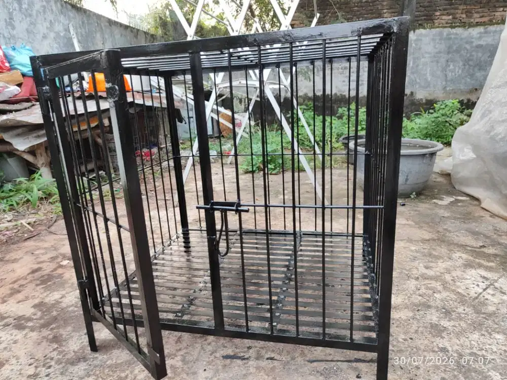 Kandang Anjing baru