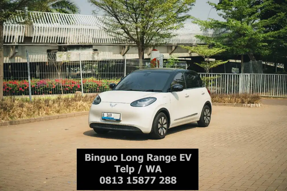 Binguo EV Long range 2024 ac dc 2025 cloud Wuling premium tgn1