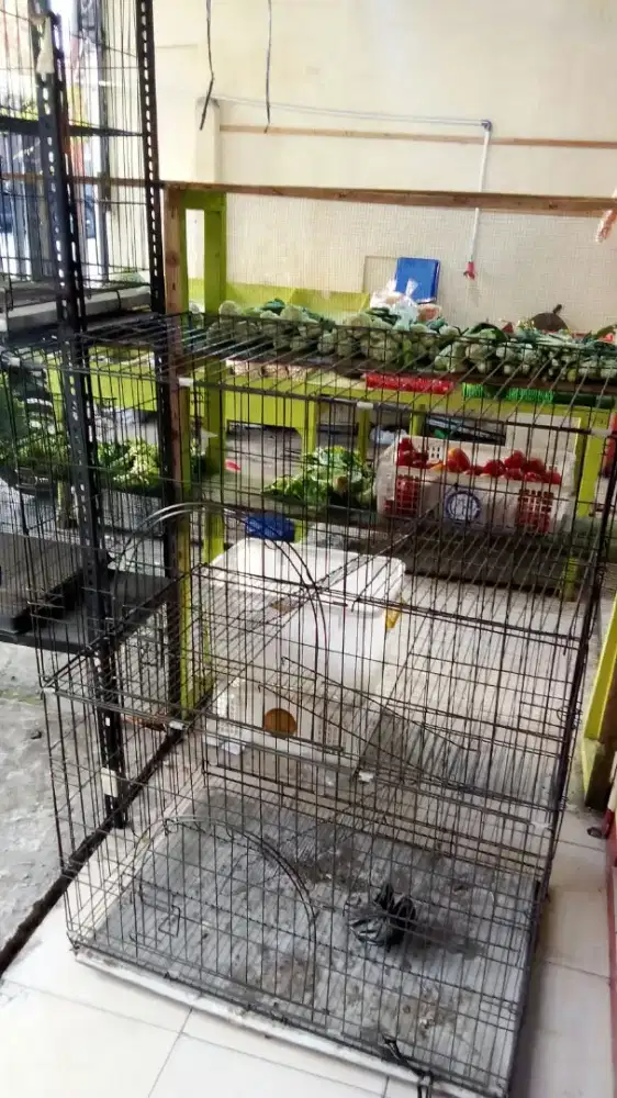Kandang kucing besar bekas display