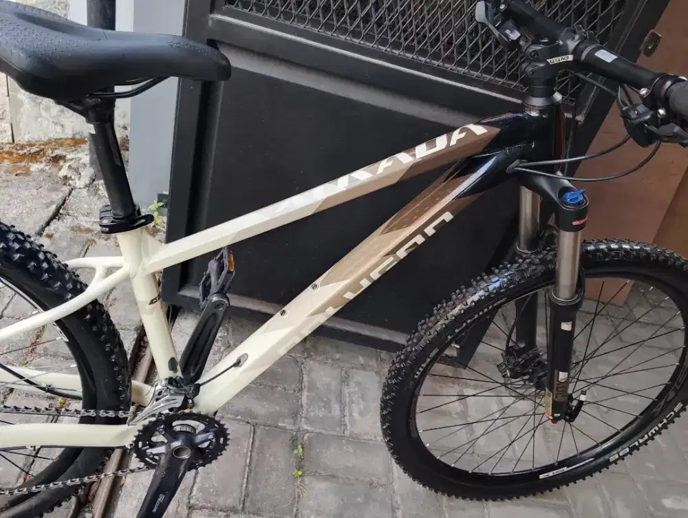 Sepeda Polygon Xtrada 6 Mtb
