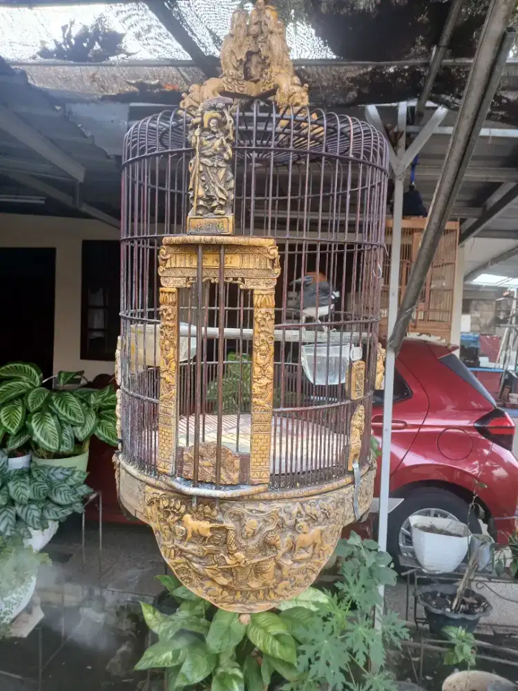 Anis Kembang Ring