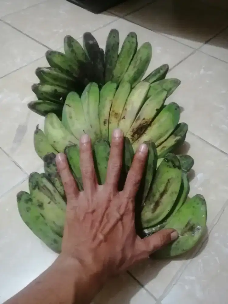 Pisang kepok kuning joss
